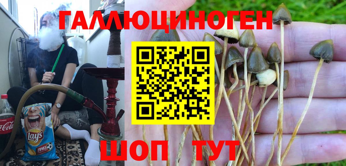 Мефедрон   LSD-25  Вязники  Cocaine  Гашиш  Вход с VPN  ГАШ  Экстази  Бошки Шишки 